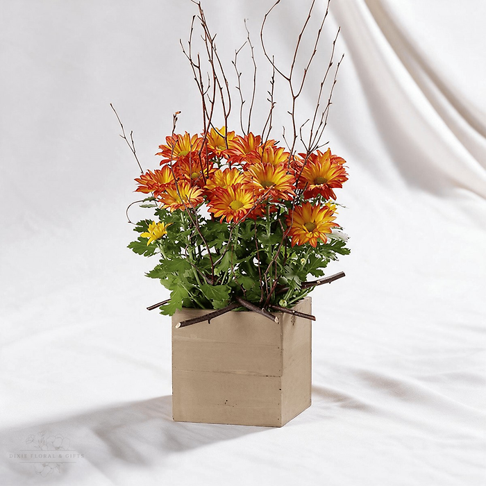 Woodland Mums Planter