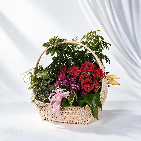 Basket of Greens