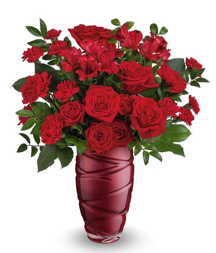 Valentine Roses