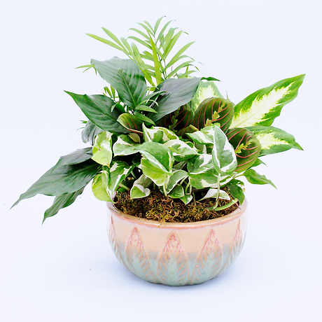 Medium Garden Planter - 4