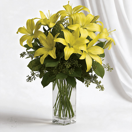 Lily Sunshine