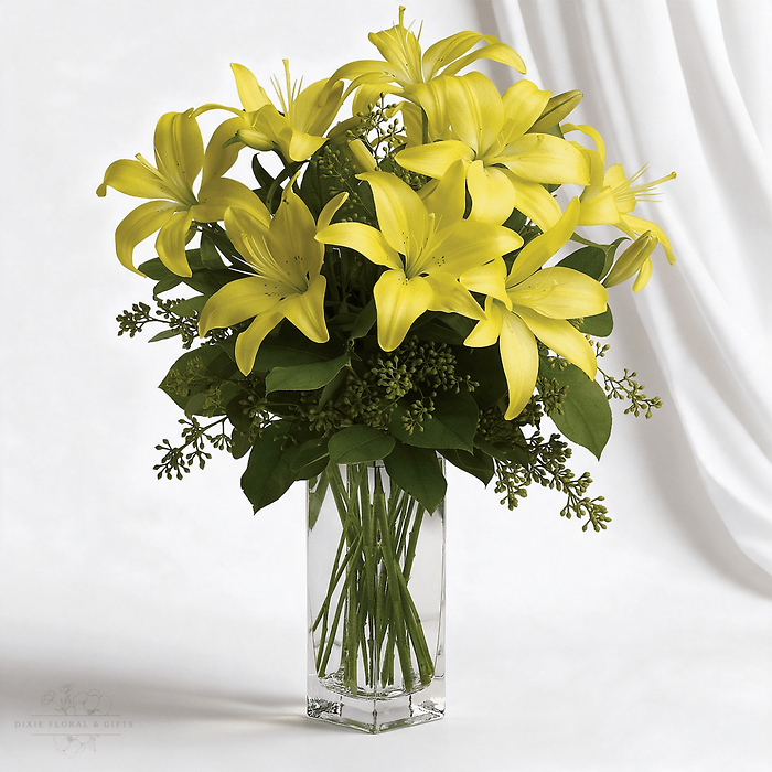 Lily Sunshine