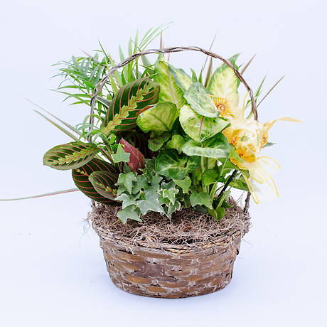 Medium Garden Planter 2