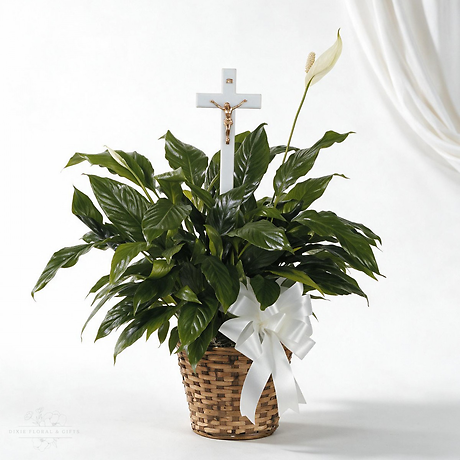 Peace Lily with Cross