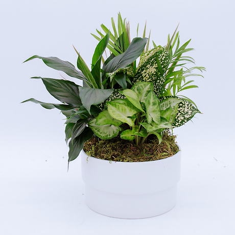 Medium Garden Planter - 3
