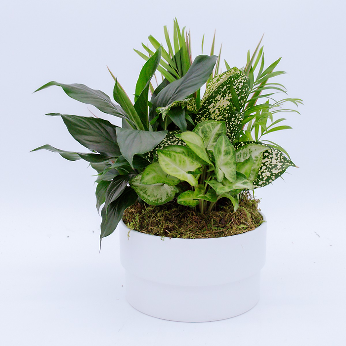 Medium Garden Planter - 3