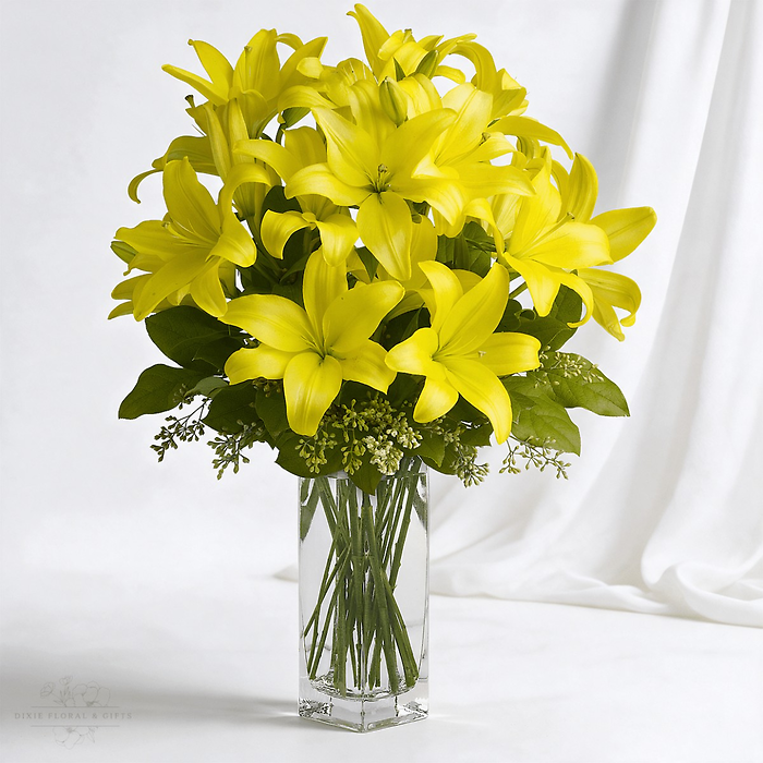 Lily Sunshine