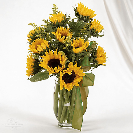 Sunflower Fields